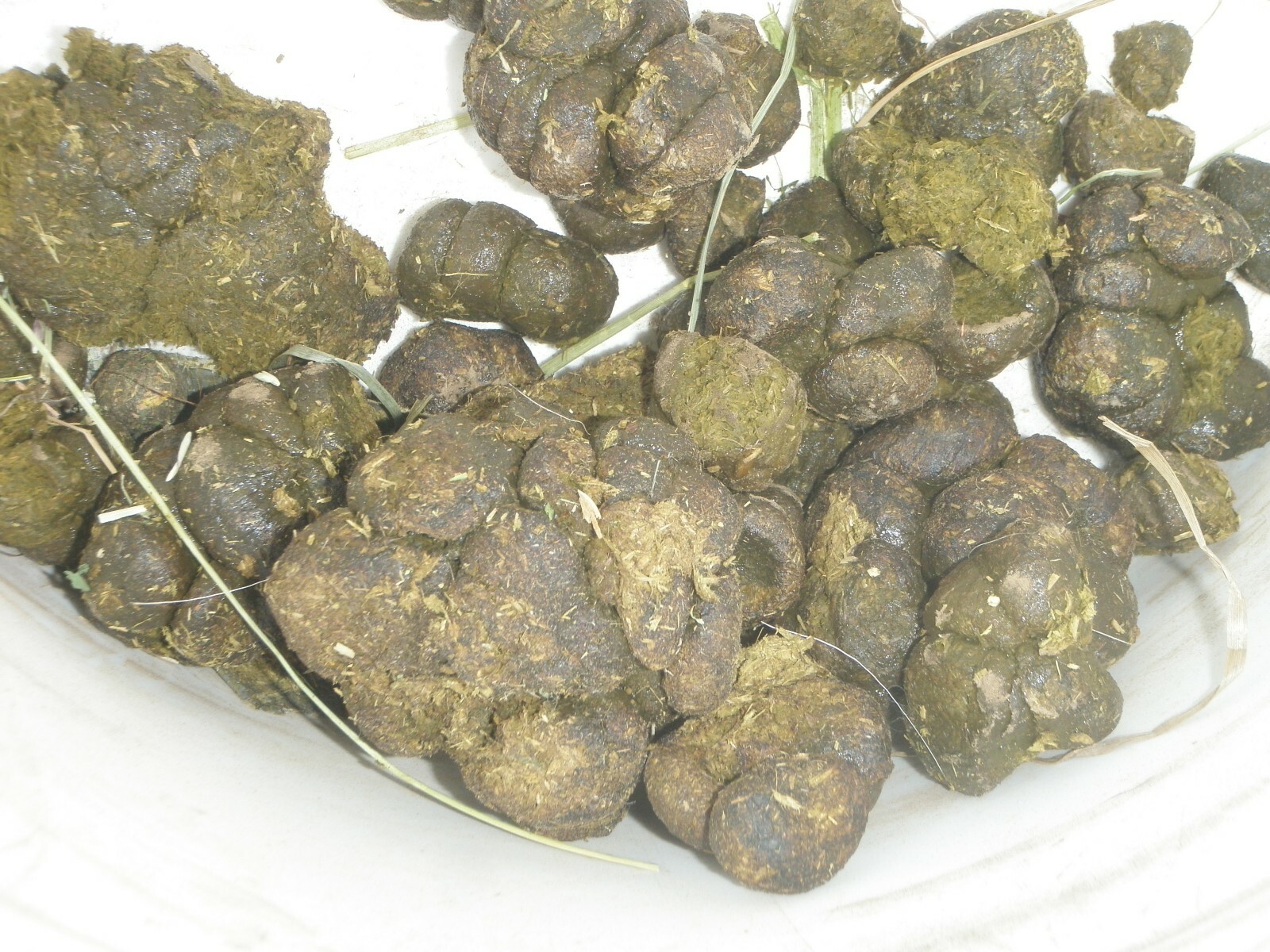 BULK Fresh SUN-DRIED Sheep Manure Nutrient Rich Fertilizer Tea Beans Organic