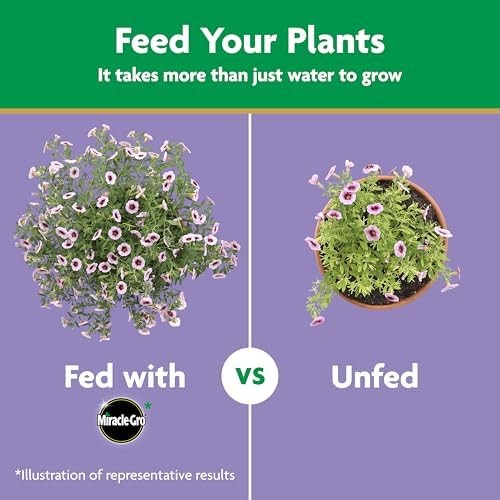 Miracle-Gro Water Soluble Bloom Booster Flower Food 4 lb