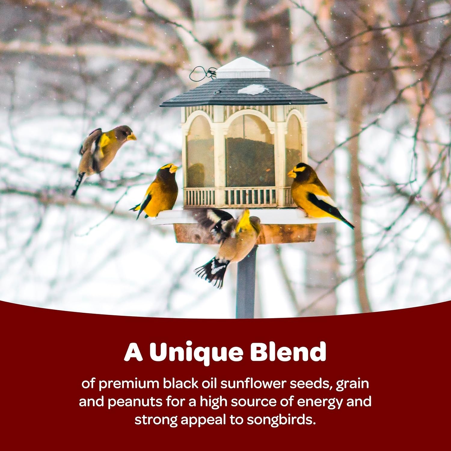 Kaytee Wild Bird Songbird Blend Bird Seed, 5 Pound