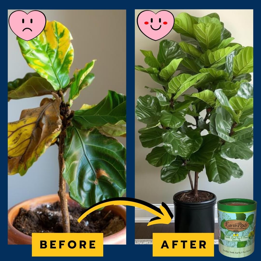 ® Bio-Organic Fiddle Leaf Fig Plant Food Capsules | Ficus & Monstera Fertilizer