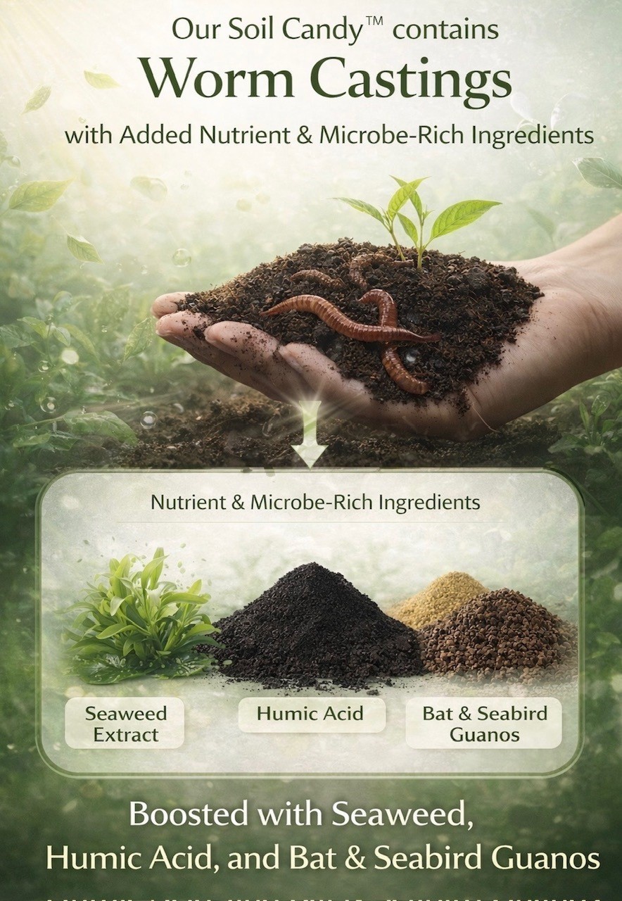 Soil Candy. Concentrated Worm Tea with Bat and Seabird Guanos.