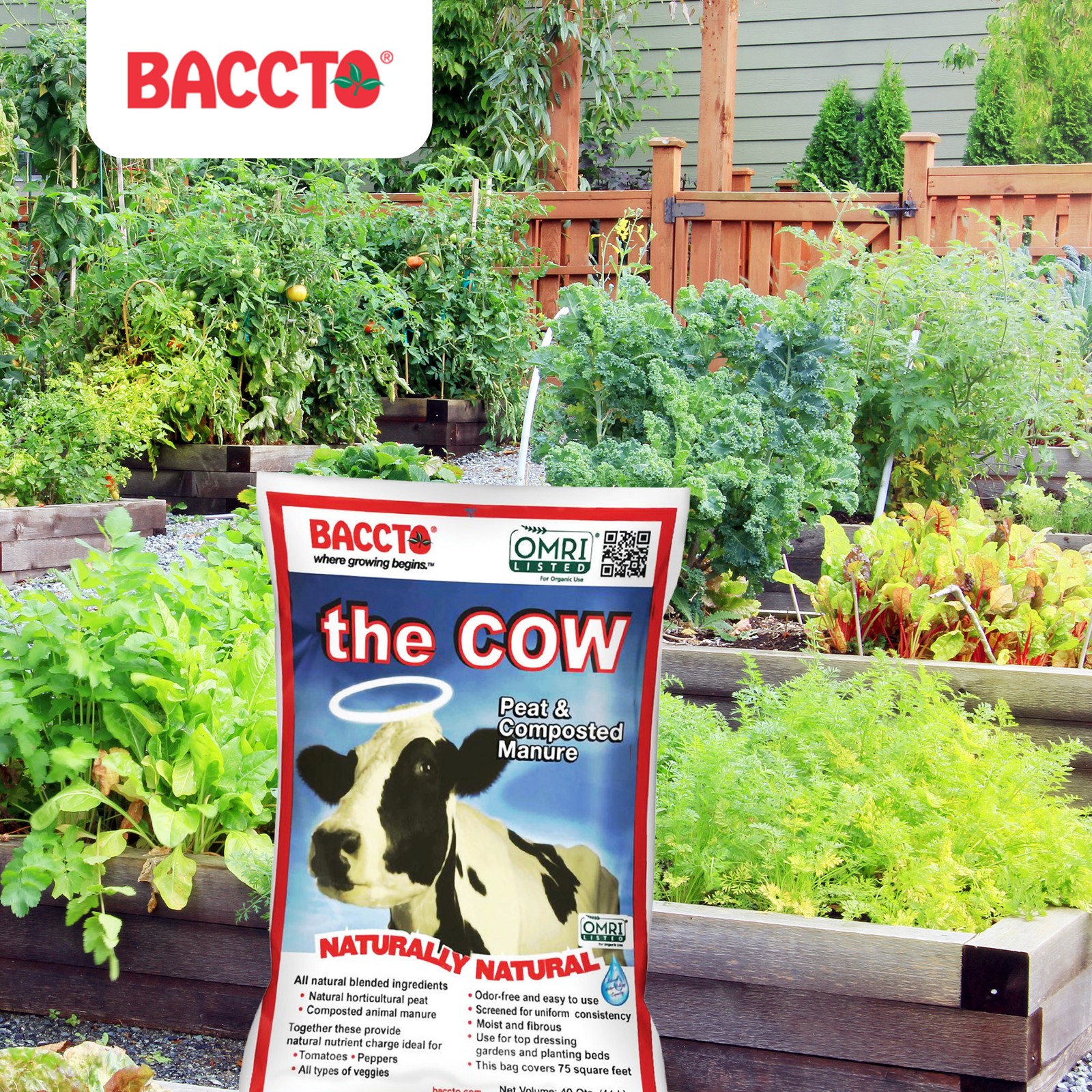 Baccto Wholly Cow Horticulture Peat & Composted Manure, 40 Quarts (6 Pack)