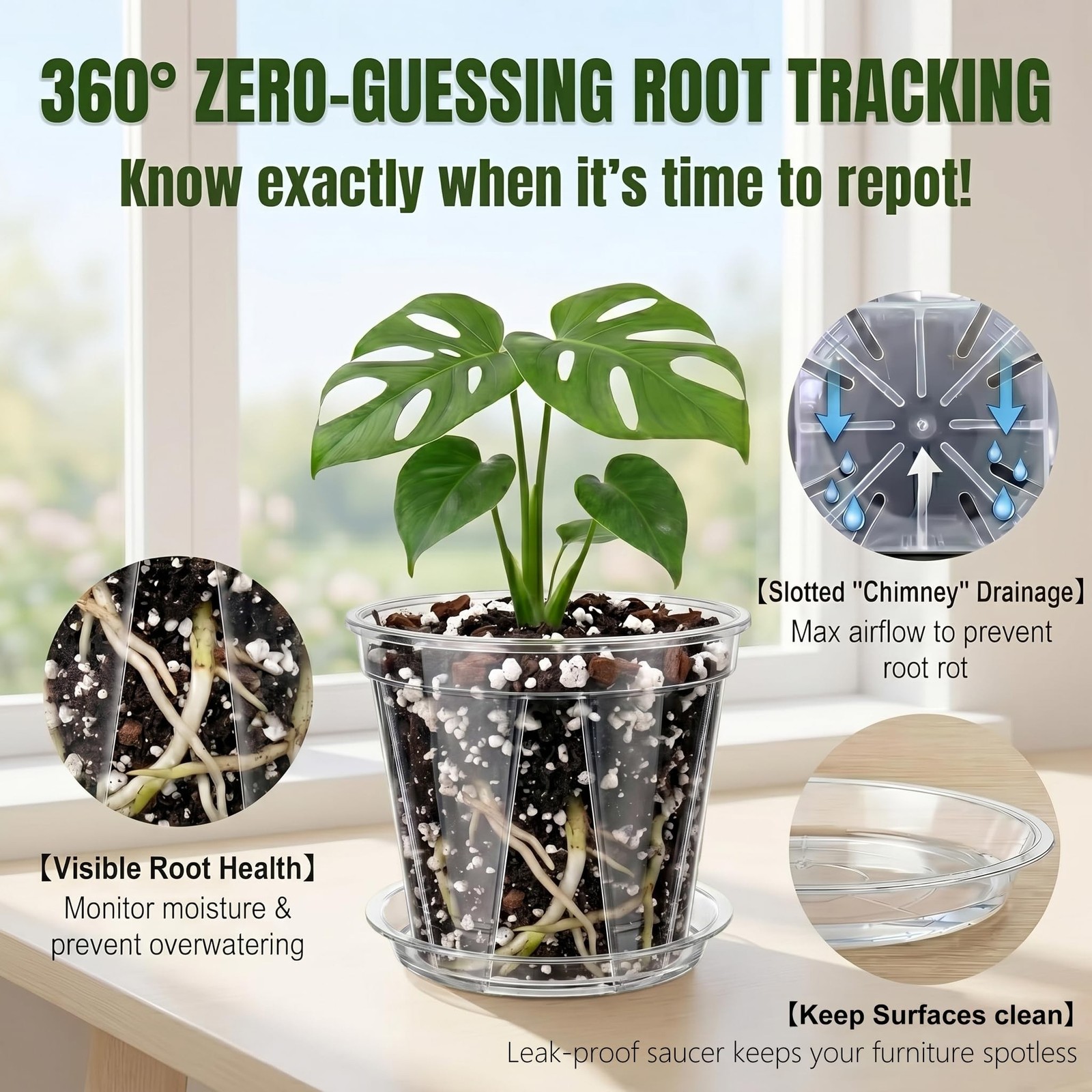 Root-Safe Clear Plant Pots for Indoor: Zero Transplant Shock for Orchids | 1K…