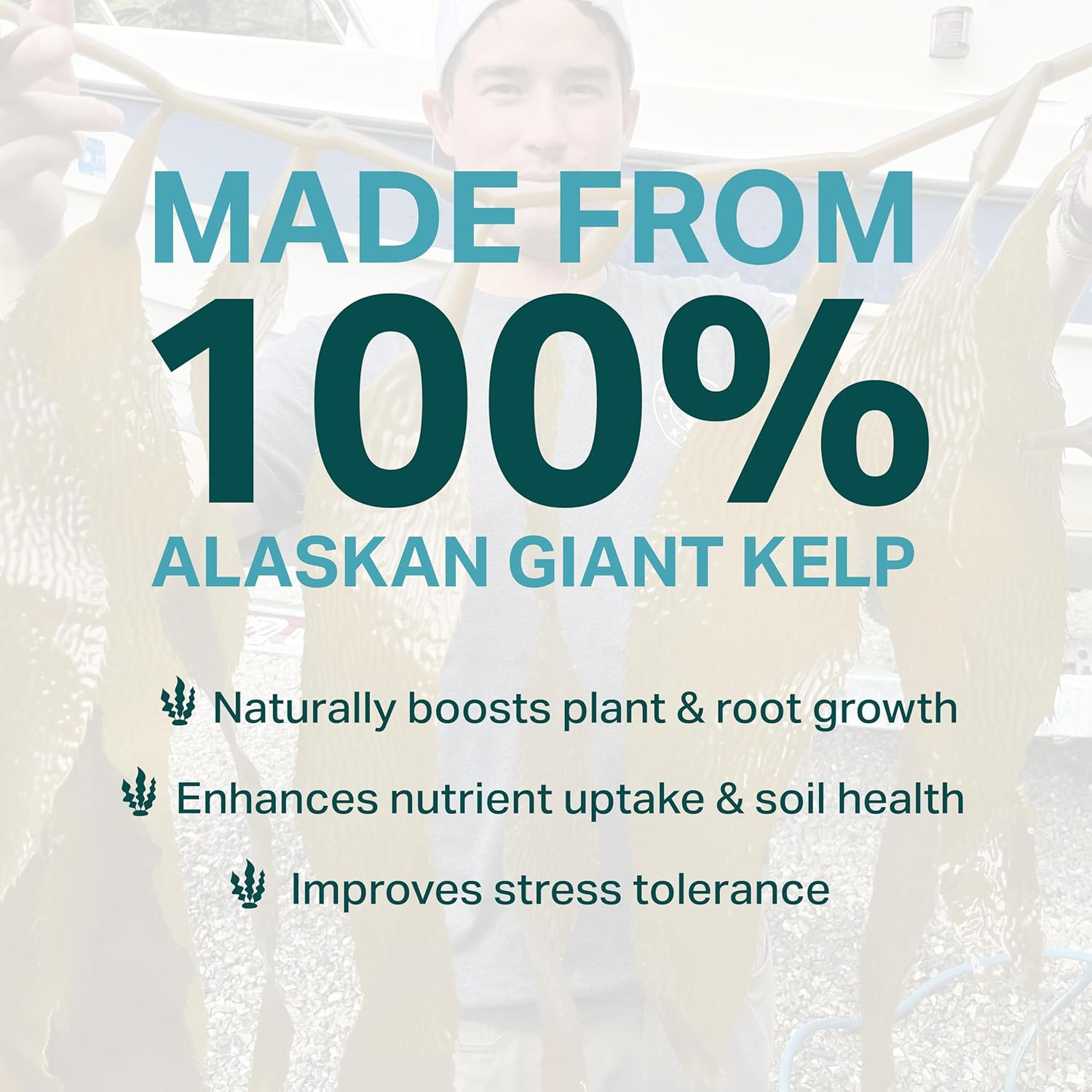 Organic Liquid Kelp Plant Supplement- Seaweed Extract Concentrated Fertilizer Bo