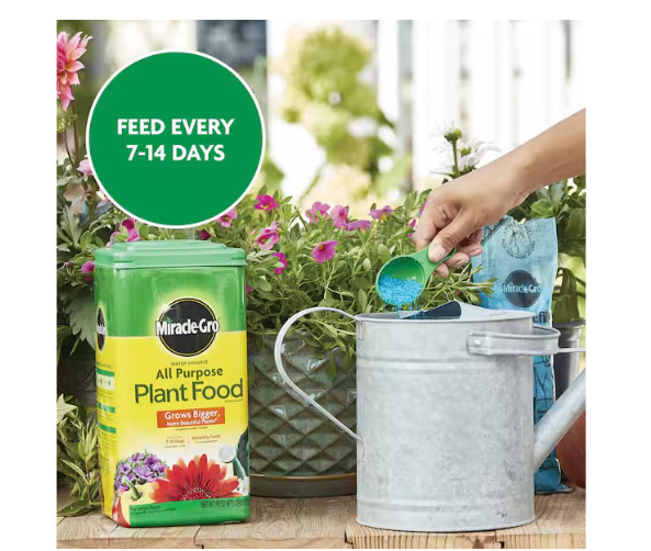Water Soluble All Purpose Plant Food for Indoor/Outdoor Plants, Roses, 4.25 lbs.