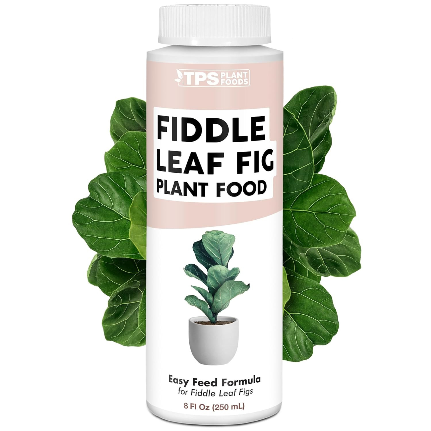Fiddle Leaf Fig Plant Food – Liquid Plant Food for Bigger Leaves, Stronger Roots