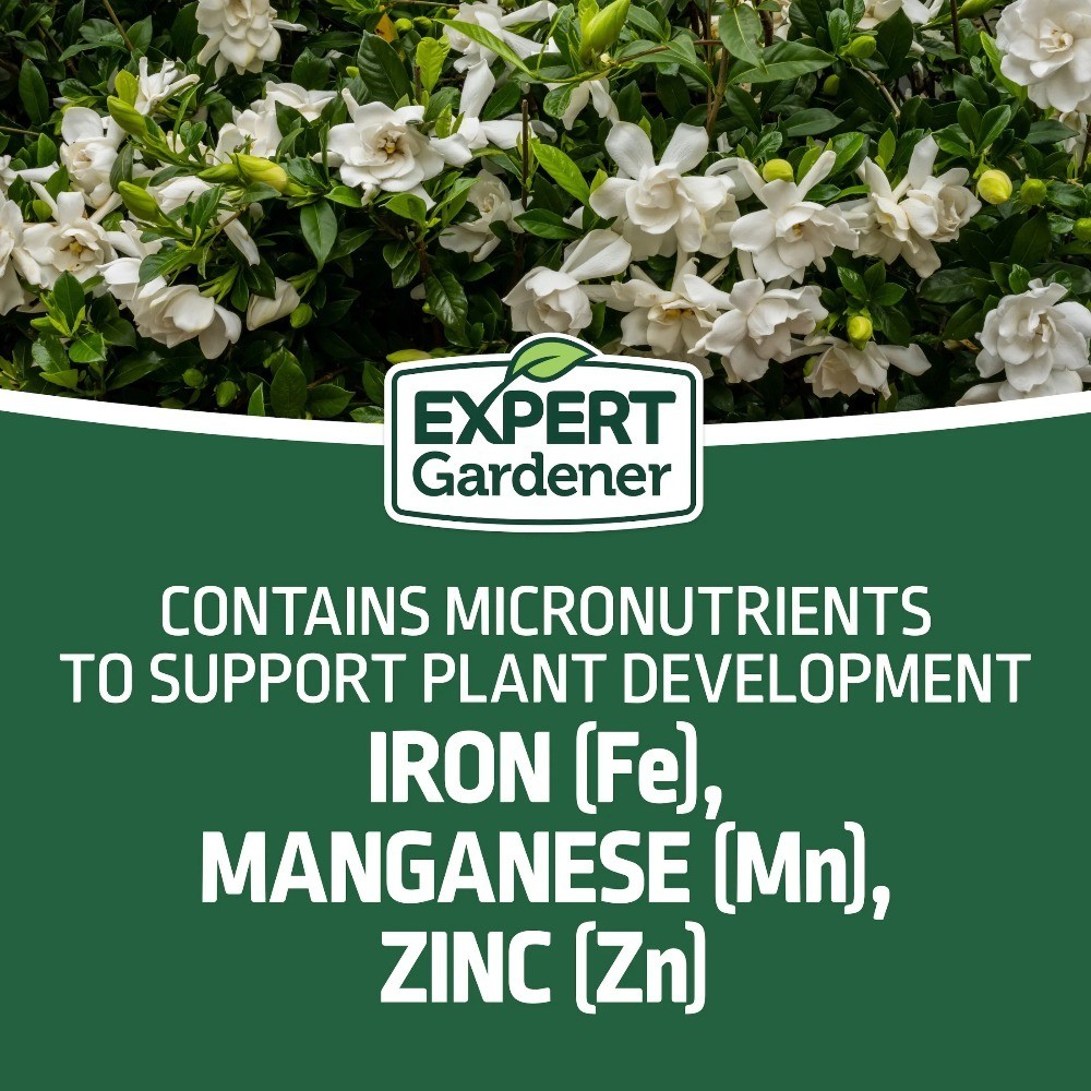 Evergreen Tree and Shrub Plant Food Fertilizer 16-4-8 NPK 4 lb