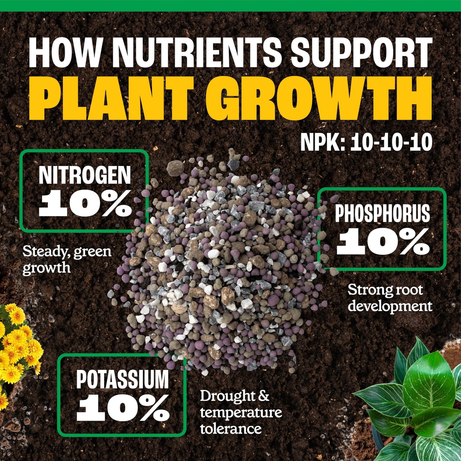 Full Season All Purpose Plant Food, 10-10-10 Fertilizer, 2lb.