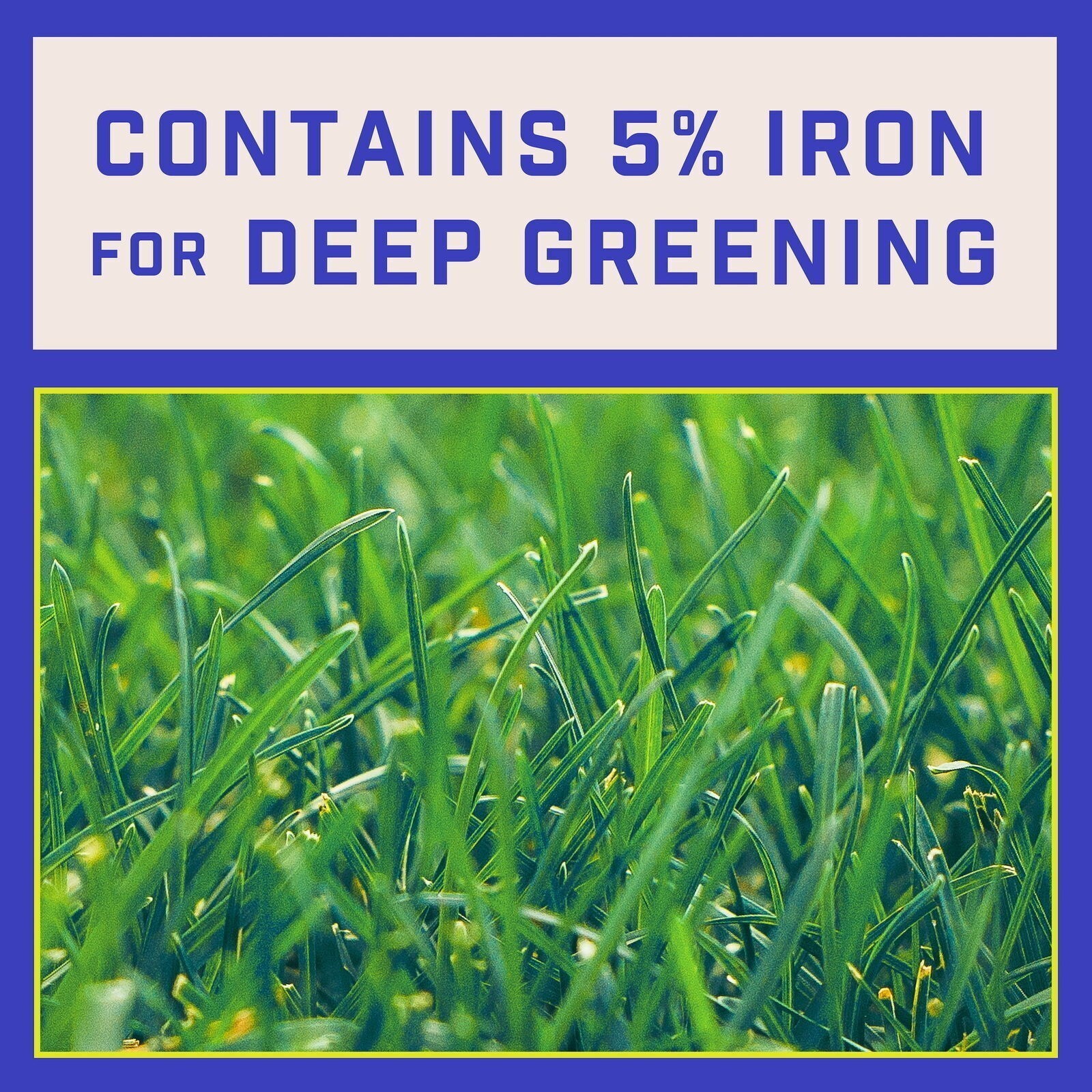 Full Season Lawn Food Fertilizer All Grass Types Escue Bluegrass Plant Nutrients