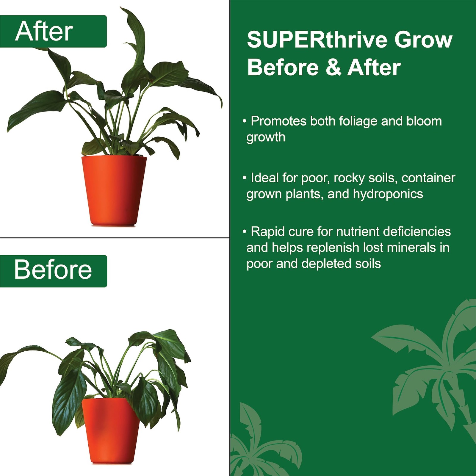 719005 Gro-100 Grow 7-9-5, 1-Gallon Plant Food, 1 Gallon, 1 Gal