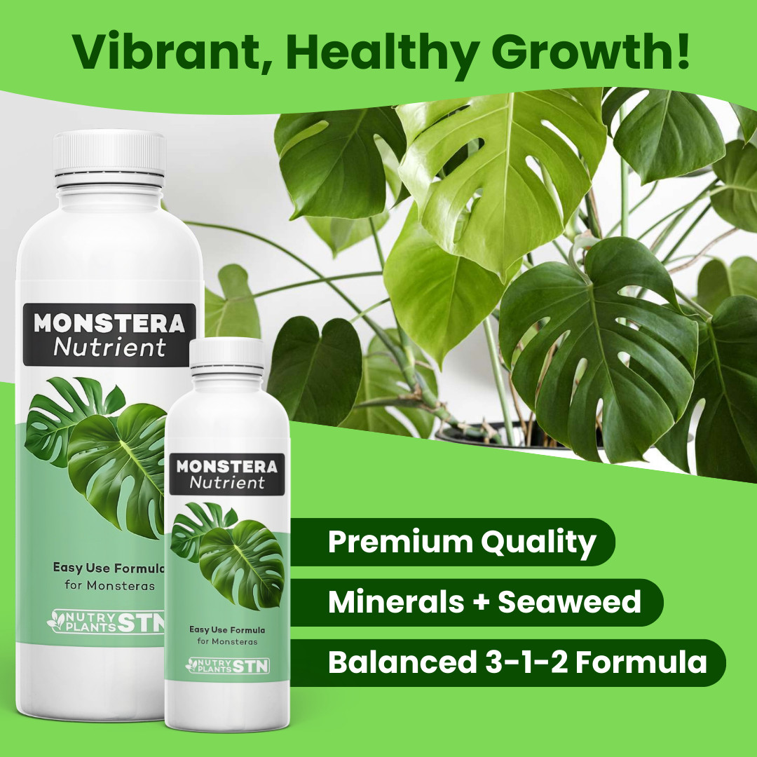Monstera Nutrient Liquid Fertilizer Monsteras Philodendrons Lush Foliage 32 oz