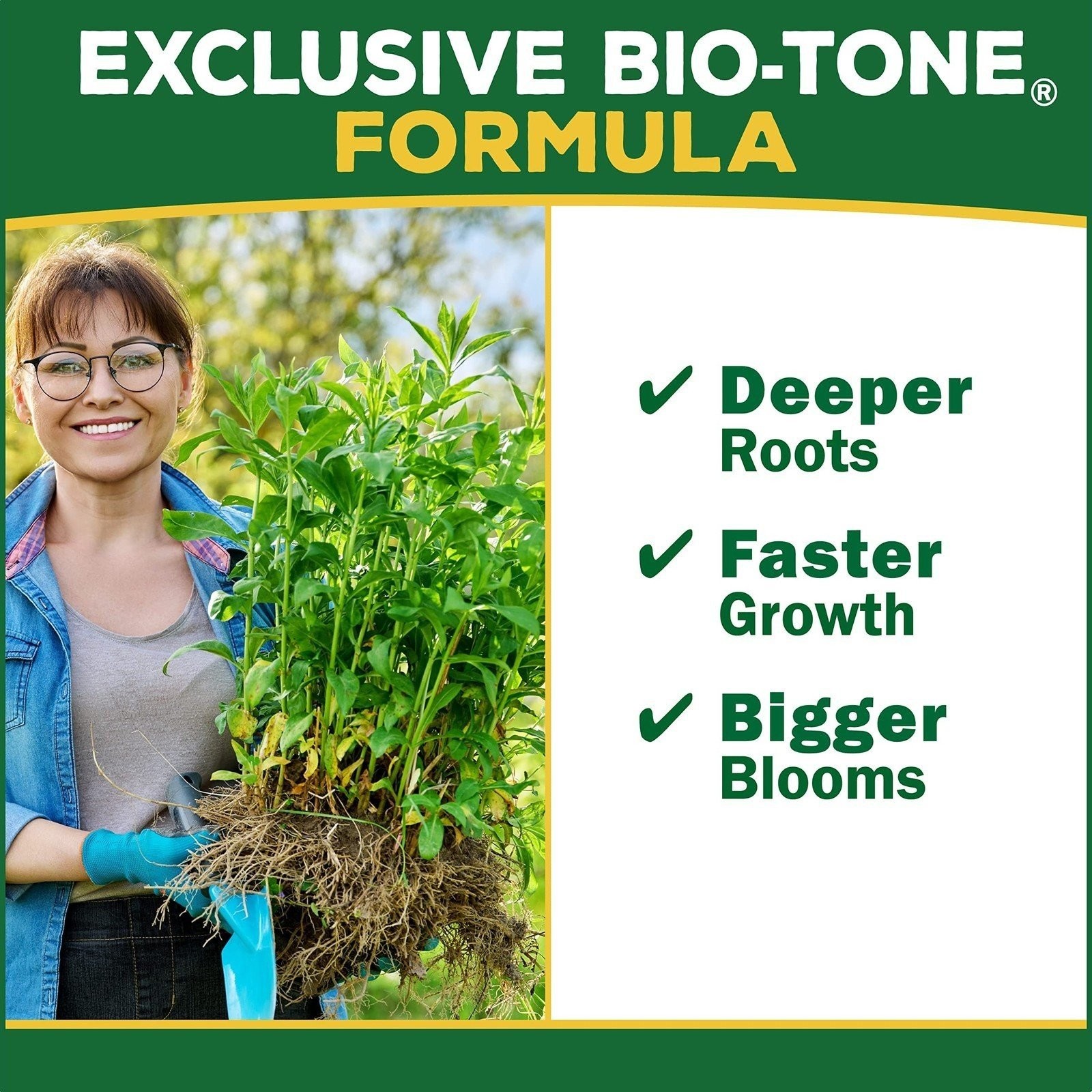 Espoma RT8 8-Pound Rose-Tone Plant Food (Тhrее Pаck)
