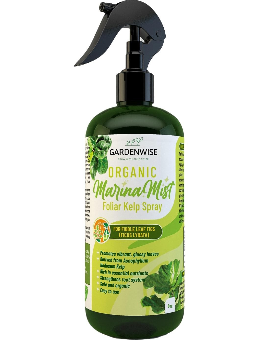 Organic Kelp Foliar Spray Fiddle Leaf Fig Ficus Liquid Plant Food Leaf Booster