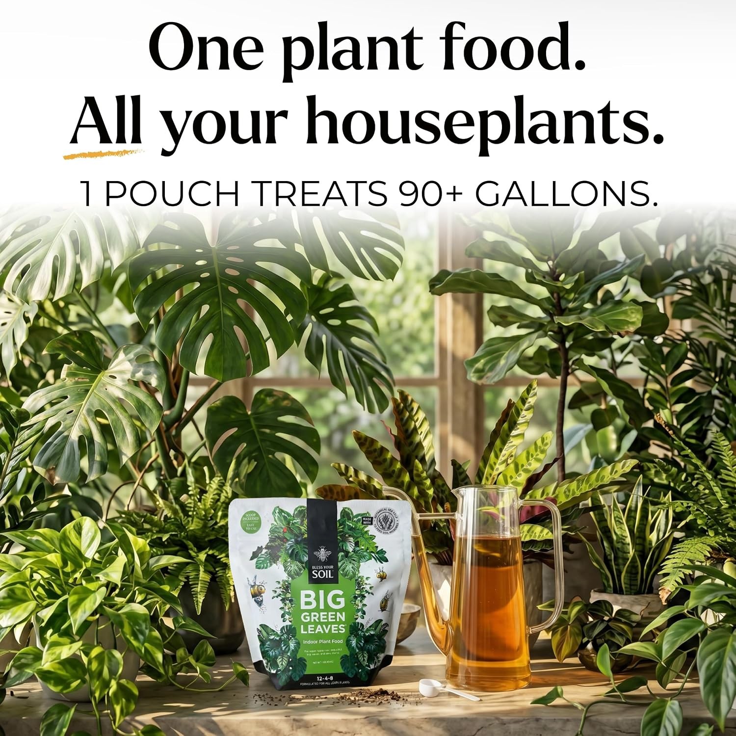 Big Green Leaves Indoor Plant Food – 4X Concentrated Fertilizer, 1 lb | Fast-act