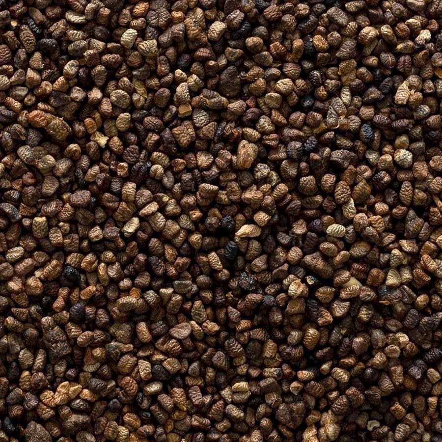 3-PACK lot Frontier Coop Organic Ground Cardamom Seed NO PODS Nutmeg 16 Oz 1LB