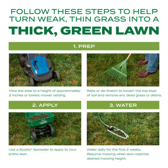 Scotts Turf Builder Thick’R Lawn Tall Fescue Mix 12 lbs. Coves 1,200 sq. ft.