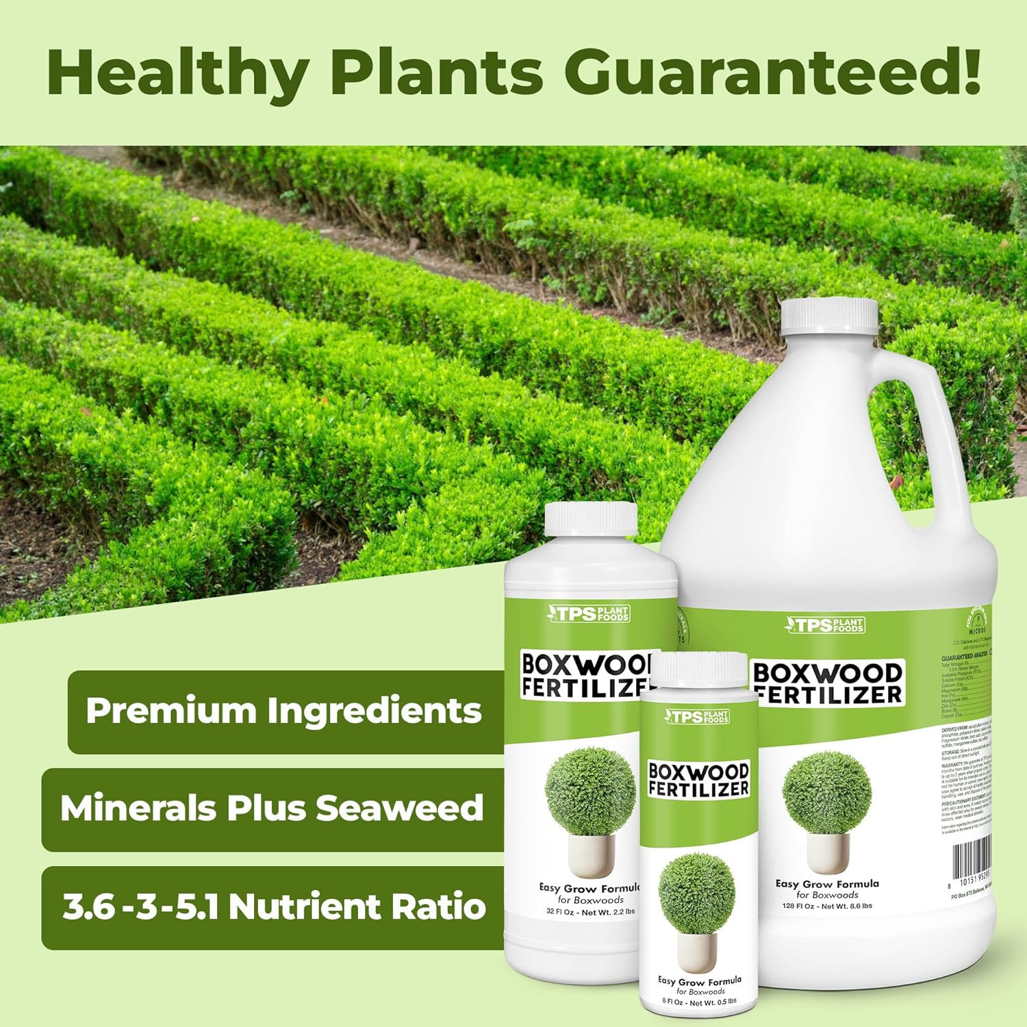 Boxwood Fertilizer – Liquid Plant Food for Dense Growth, Rich Green Foliage, & S