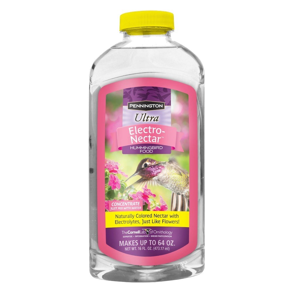 Ready-to-Use Liquid Hummingbird Electrolyte Food 16 fl oz Bottle