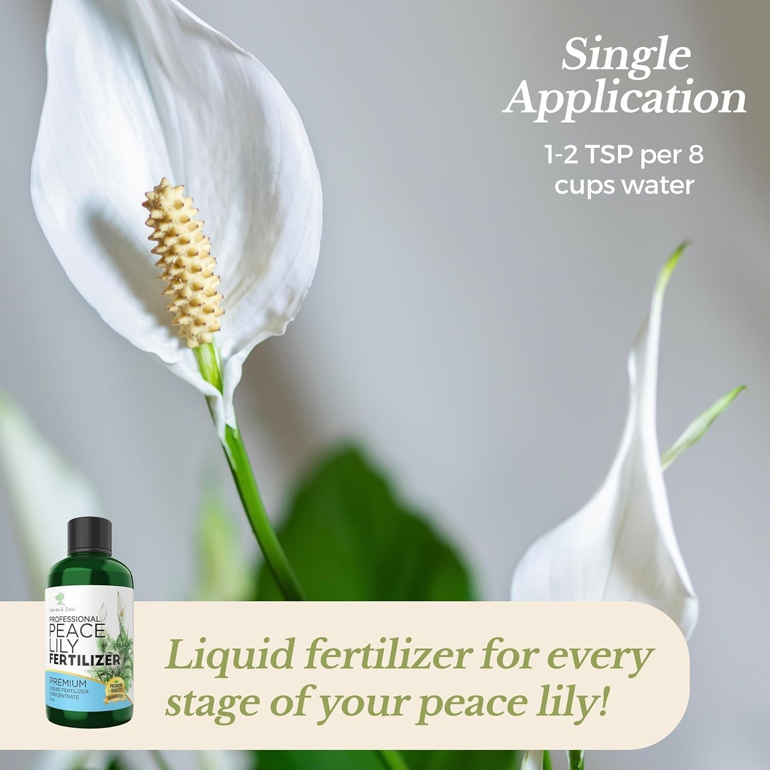 Professional Peace Lily Fertilizer Liquid 3-1-2 Concentrate 8 oz, Peace Lily…