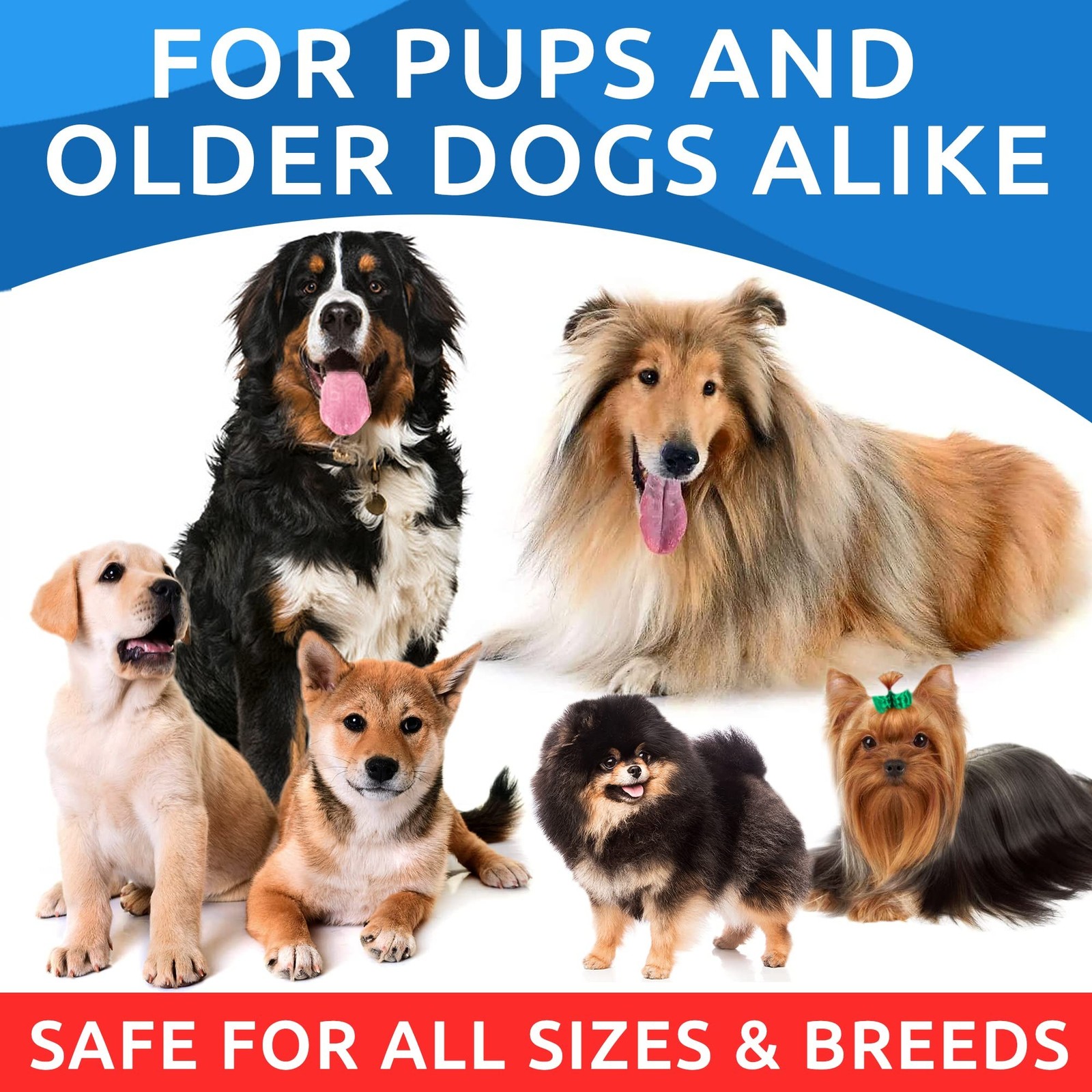 BARK&SPARK Omega 3 for Dogs and Cats-180 Fish Oil Treats for Dogs & Cats Shed…