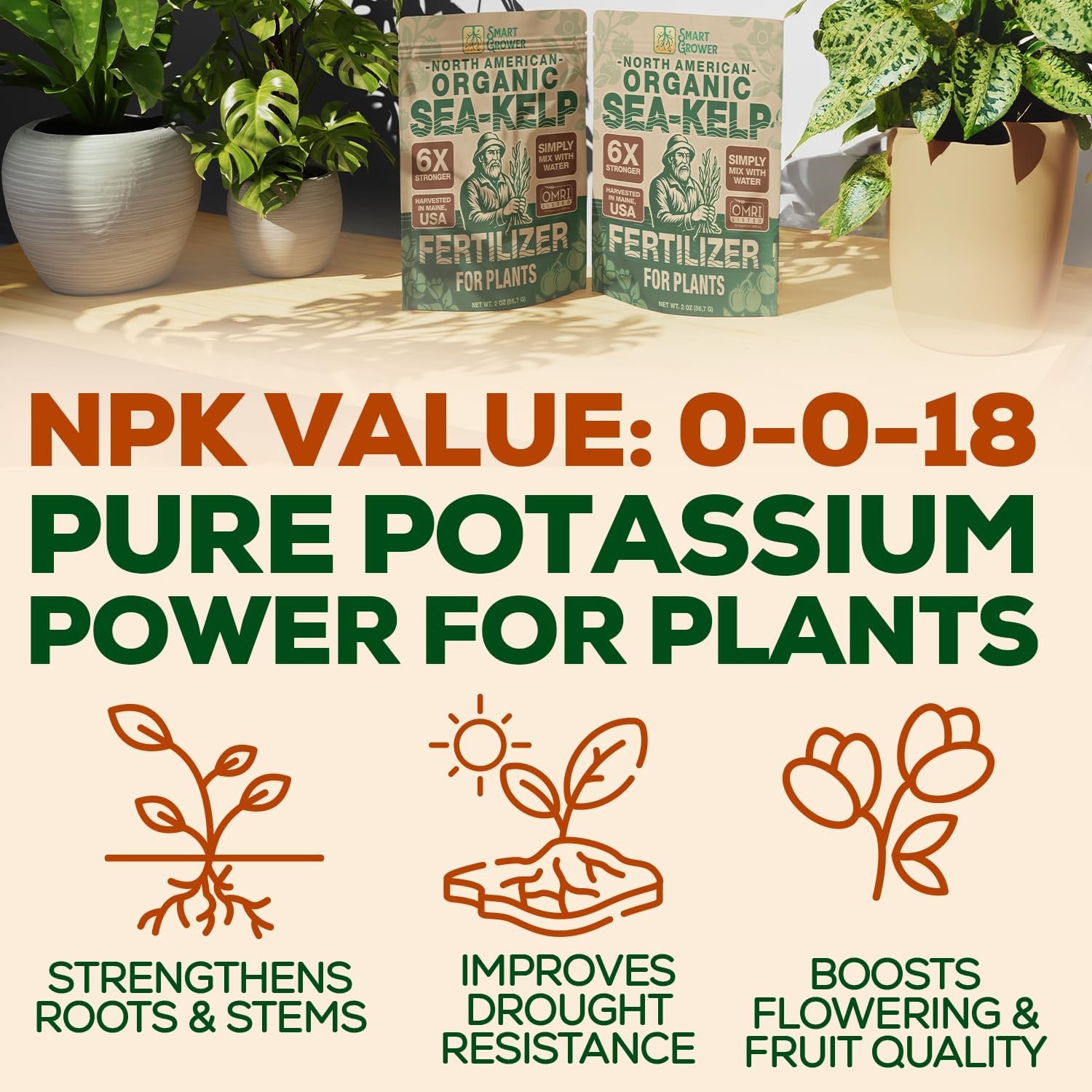 Organic Sea Kelp Fertilizer for Plants – Water-Soluble – Makes 50 2 Ounces