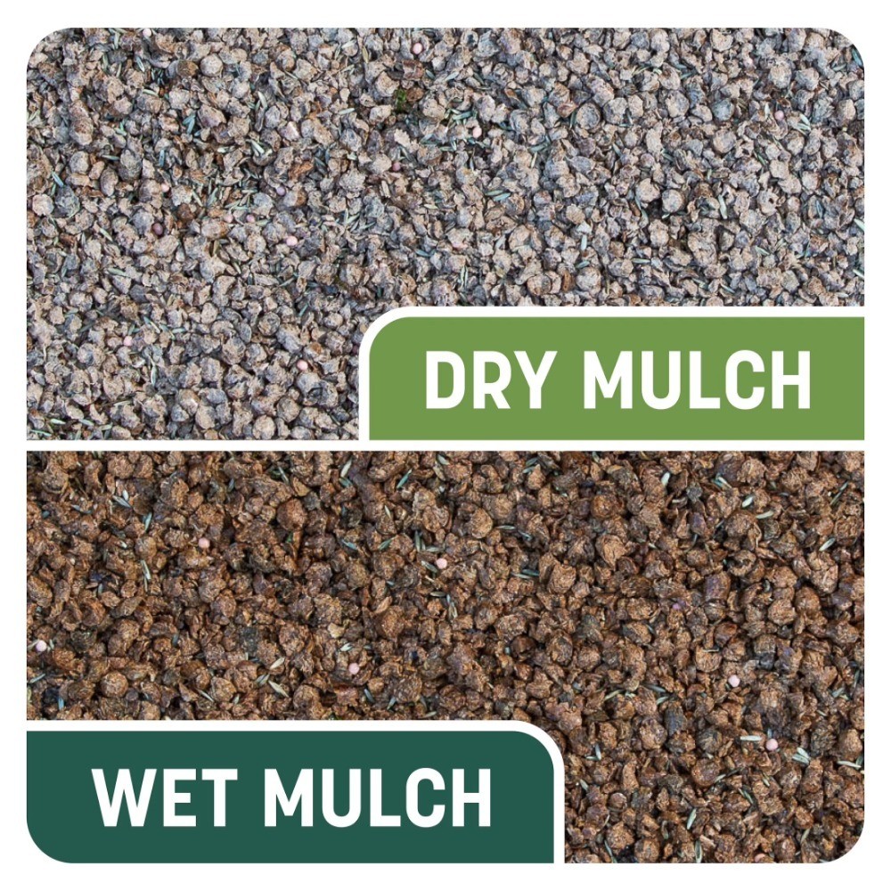 Sun and Shade Grass Seed Mix for Lawns, Partial Sun to Partial Shade Coverage,