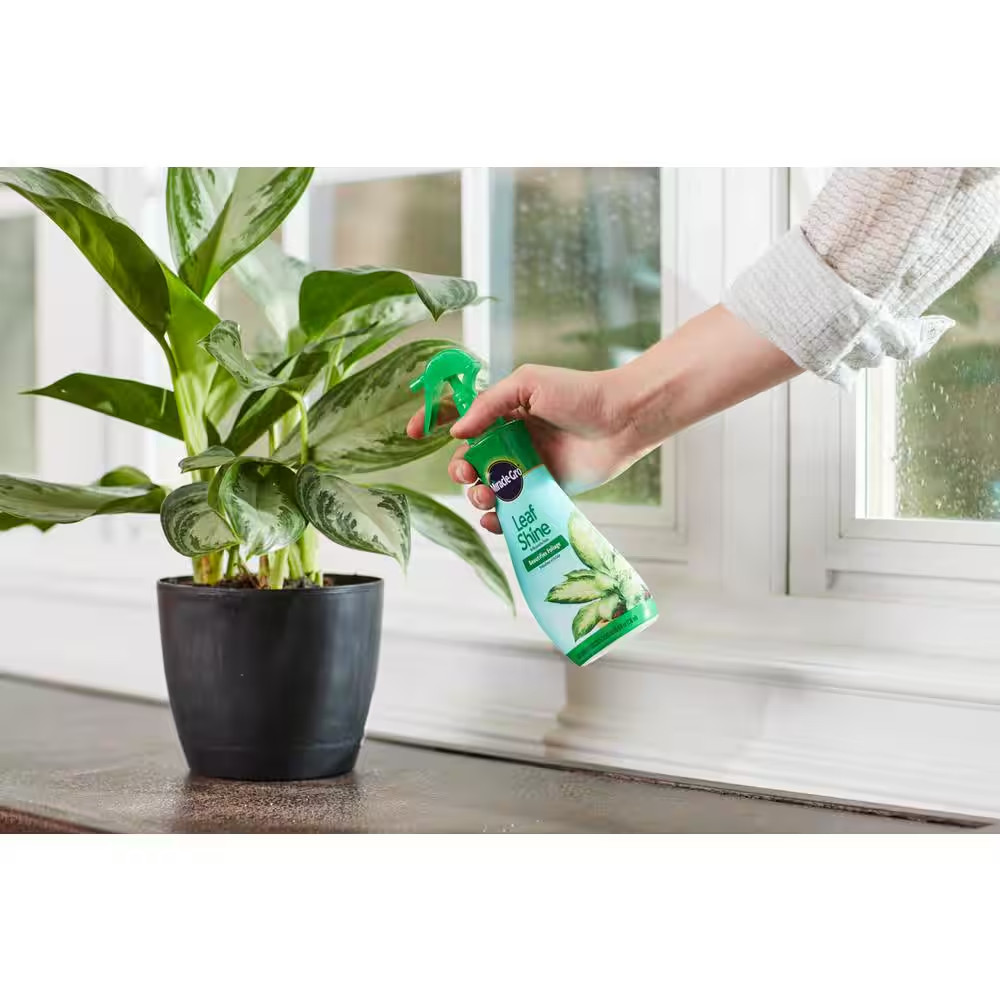 8 Fl. Oz. Leaf Shine Spray Cleans Hard-Leaved Foliage Plants (2-Pack)