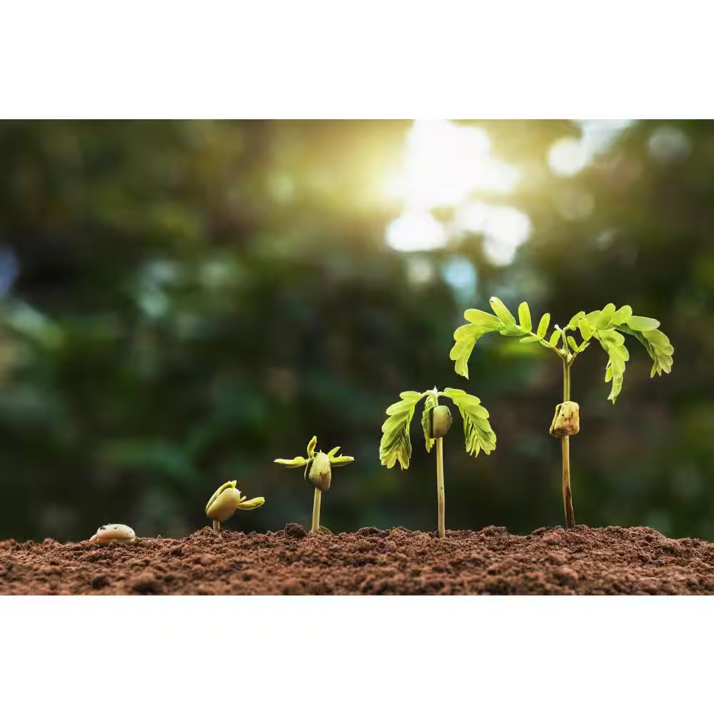 8 Qt. 100% Organic Worm Castings Flowering Blend