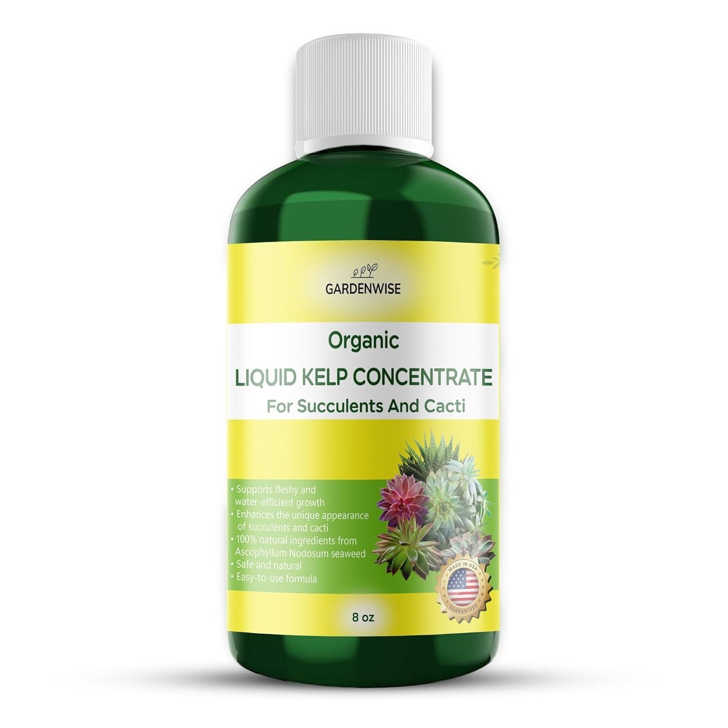 Organic Kelp Fertilizer for Succulents & Cactus | Root Booster Plant Food