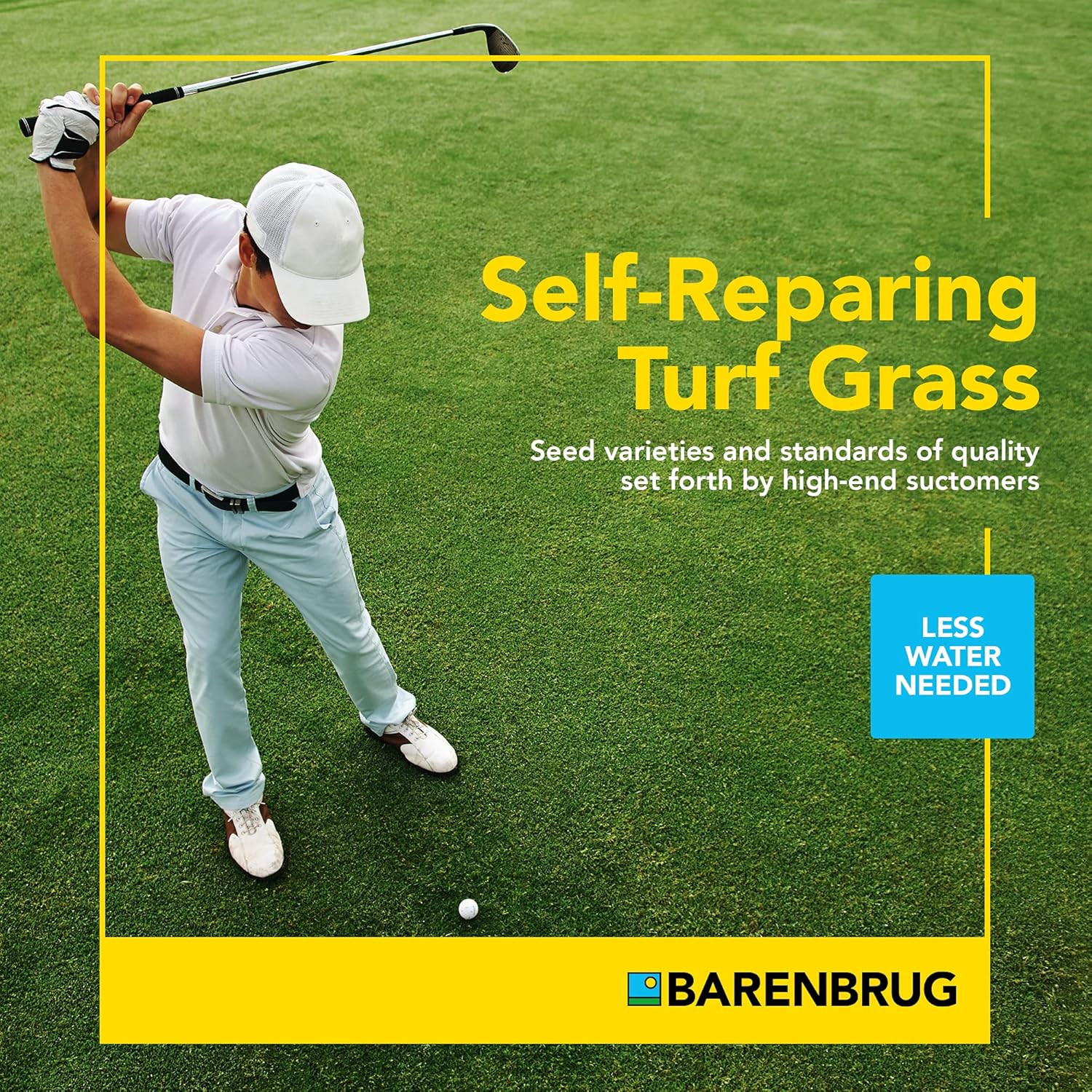 Turf Star Regenerating Perennial Ryegrass Lawn Seed with Yellow Jacket Seed Coat
