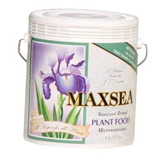 All Purpose 16-16-16 Plant Food. 6 lb