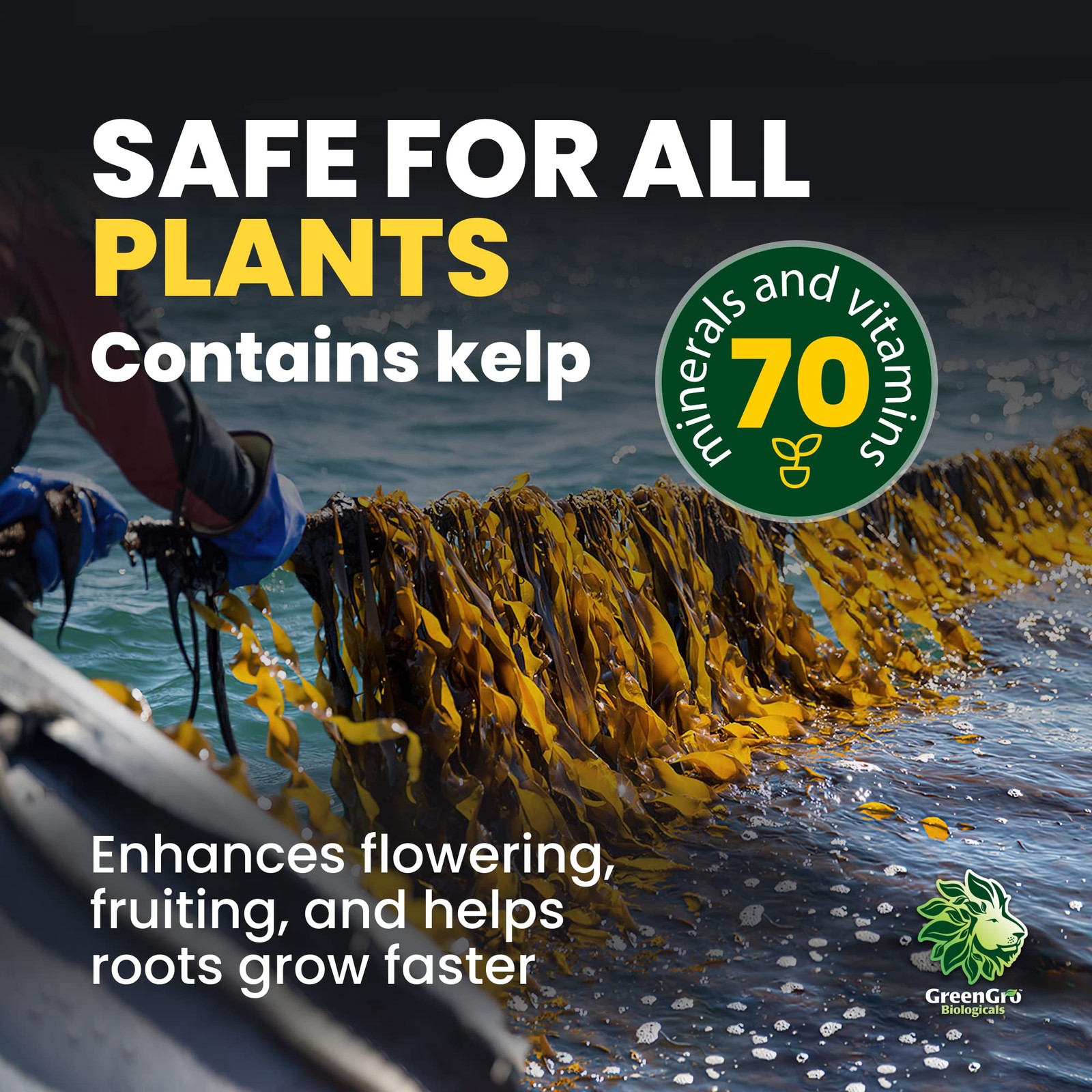 Granular Plus Myco, All-in-One Fertilizer with Kelp and Humic Acid for Plants