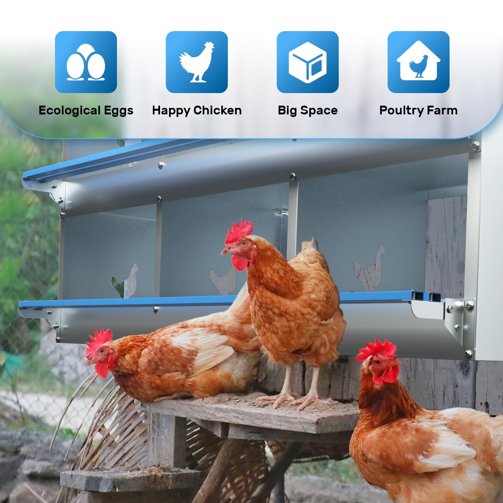 Kinchoix Chicken Nesting 6 Compartments Metal Laying Boxes Chicken Hens Poultry
