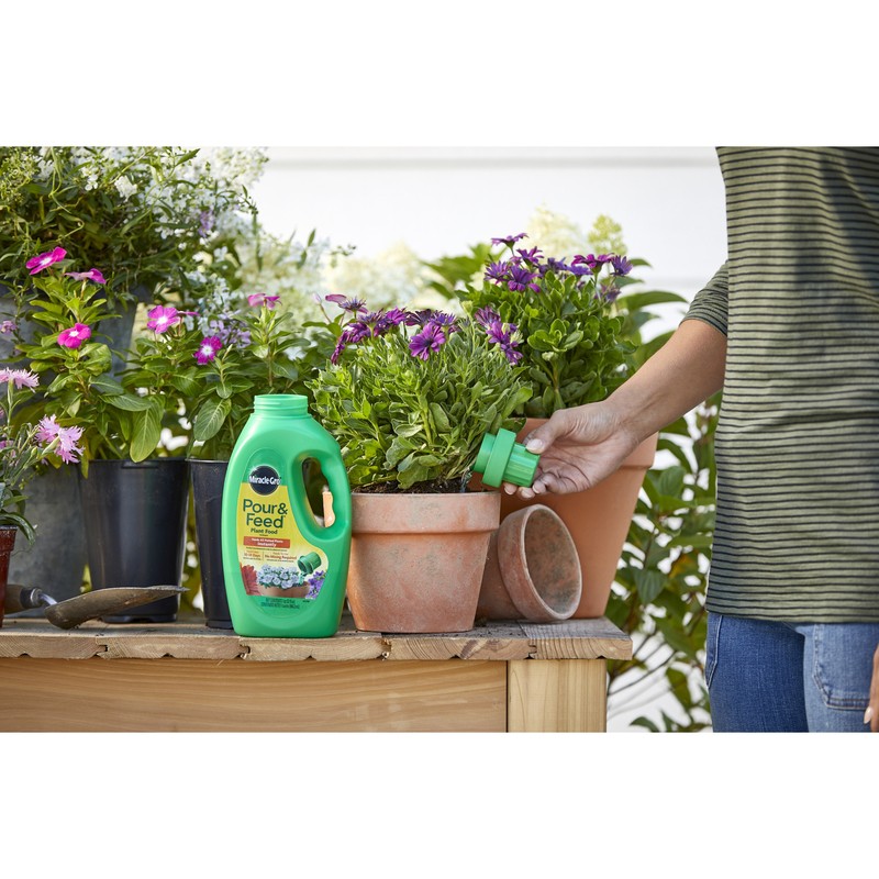 Miracle-Gro Pour & Feed Liquid Plant Food 32 oz (Pack of 3)