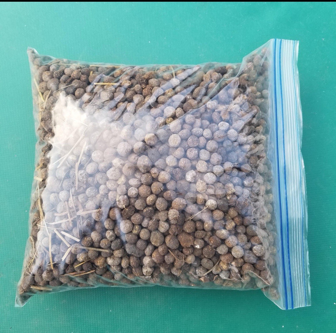 Bunny poop (fertilizer)