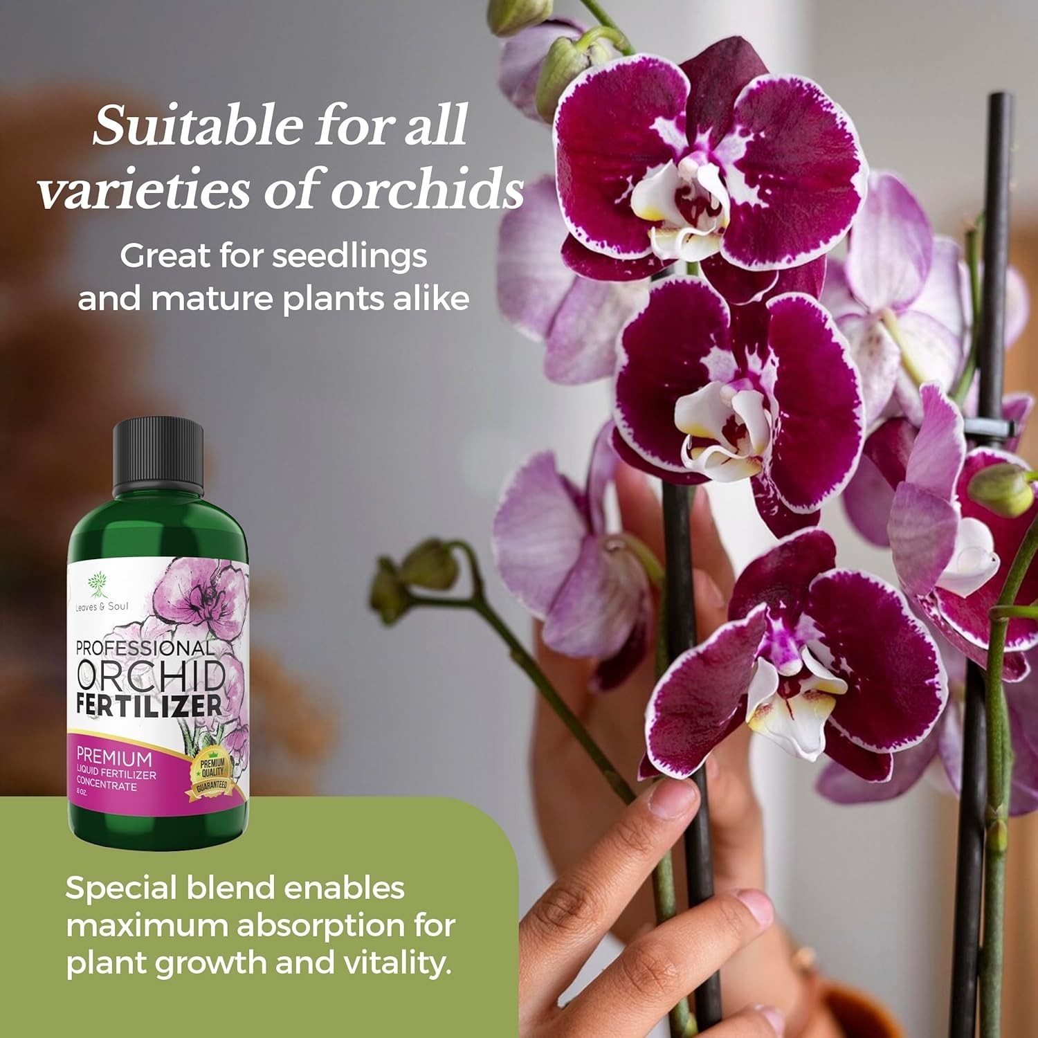 Multi-Purpose Indoor Orchid Fertilizer | 3-1-2 Liquid Nutrients | 8oz Bottle