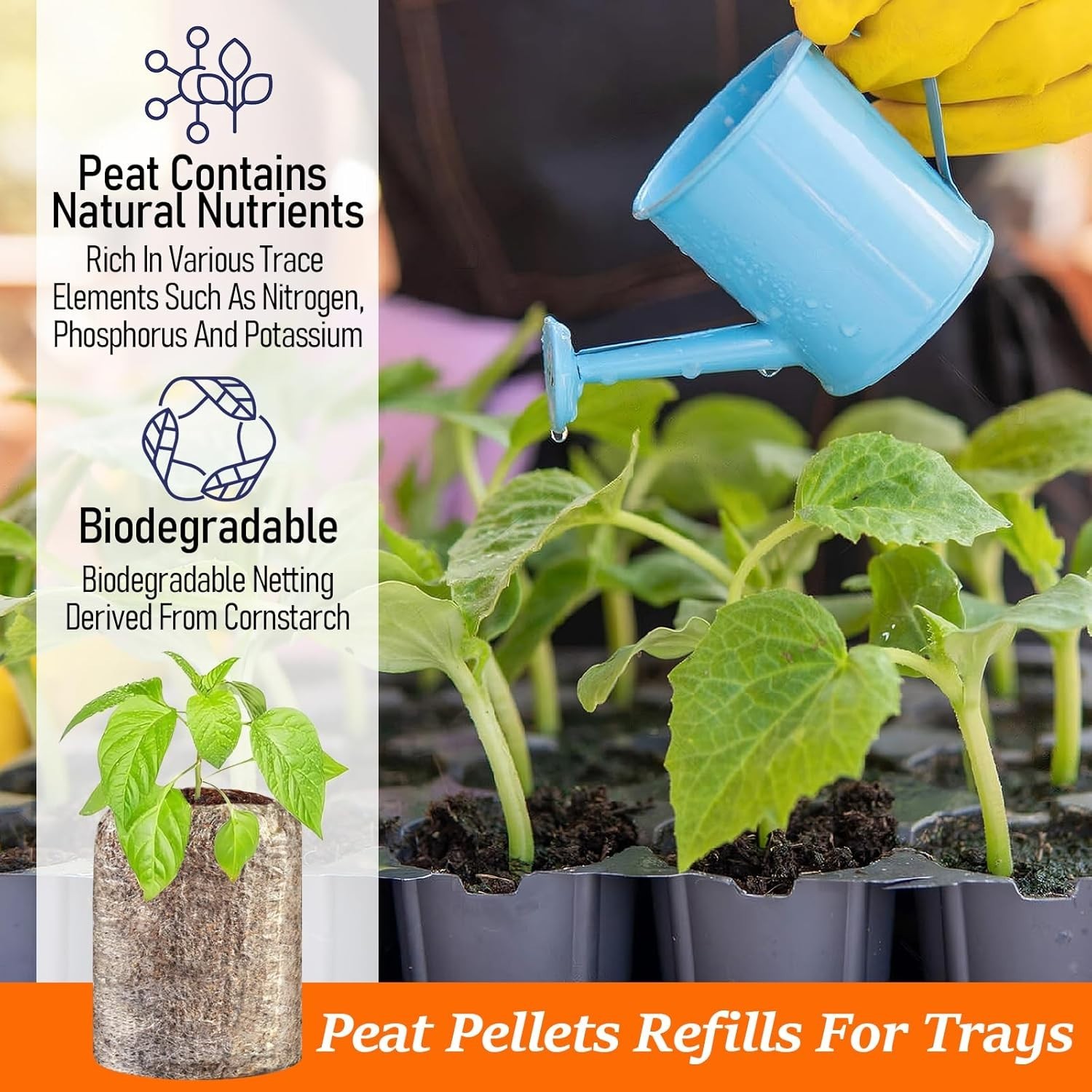 50 Compressed 30mm Peat Pods for Seedlings – Ideal for Herbs, Flowers & Veggies