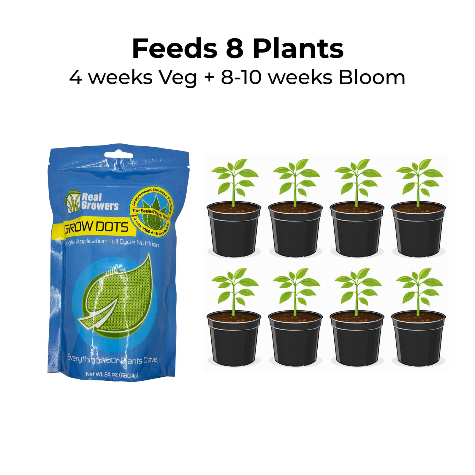 Grow Dots Classic 24oz OneTime Nutrient System for Soilless Media