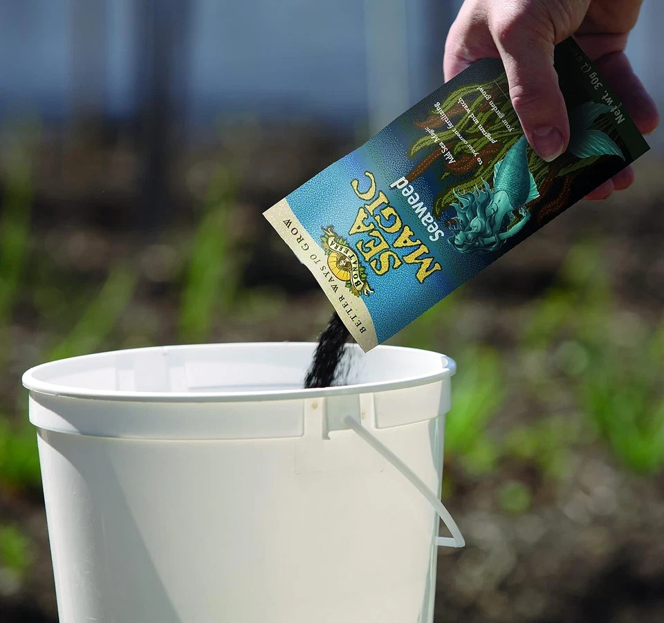 Sea Magic Dry Soluble Seaweed Extract Fertilizer – 30 Gram Bag – Makes 66 Gallon