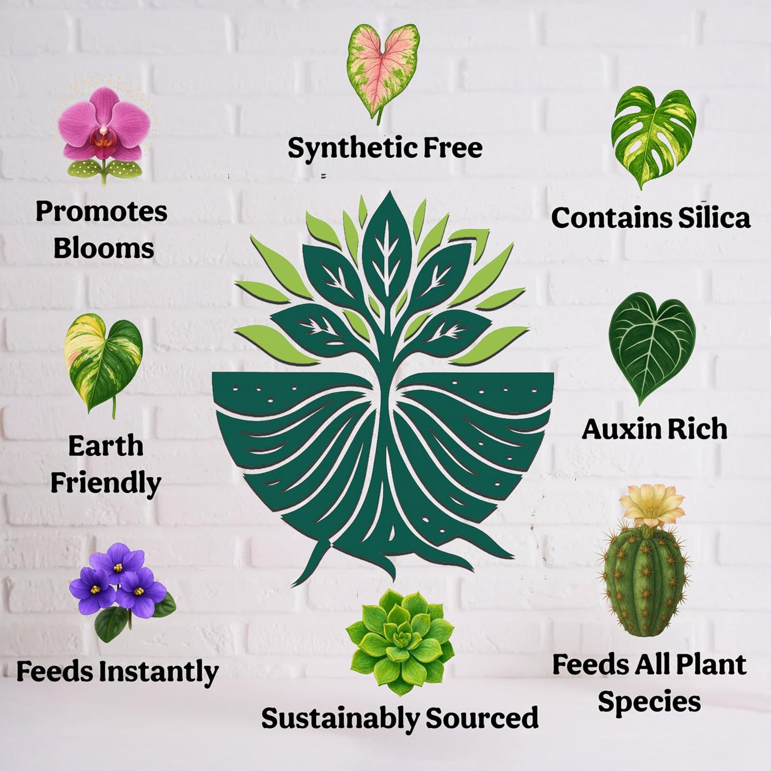 Organic Liquid Indoor Plant Food, Houseplant, Tropical & All-Purpose Indoor Plan