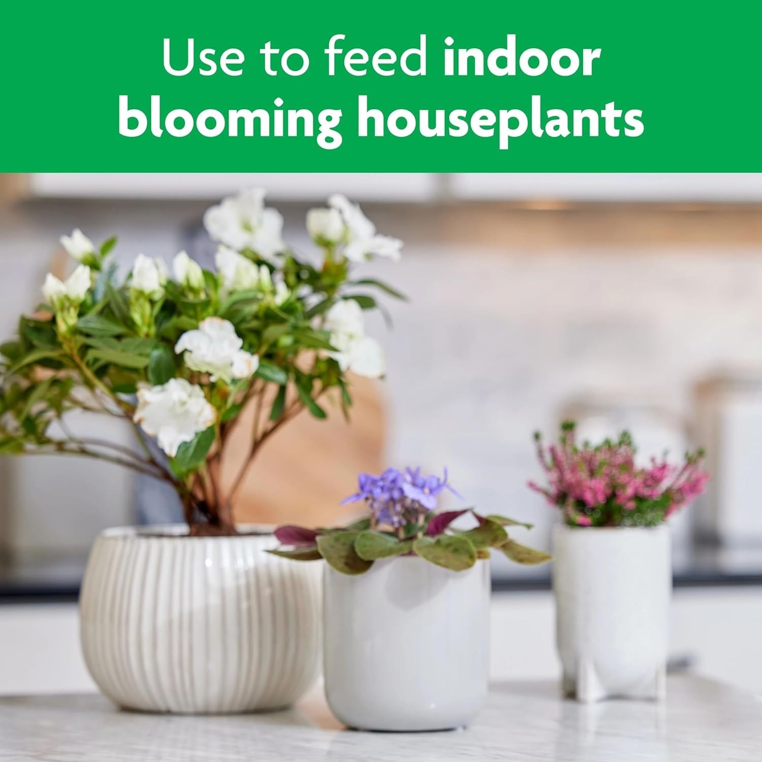 Miracle-Gro Blooming Houseplant Food 8 fl oz – Ensuring Abundant Indoor Flowers