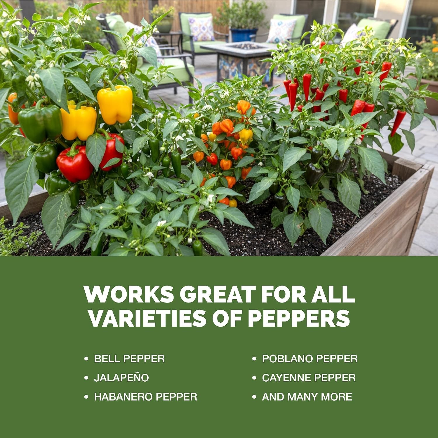 Pepper Fertilizer – Liquid Plant Food for Bigger Harvests, 8 oz | Supports Bl…