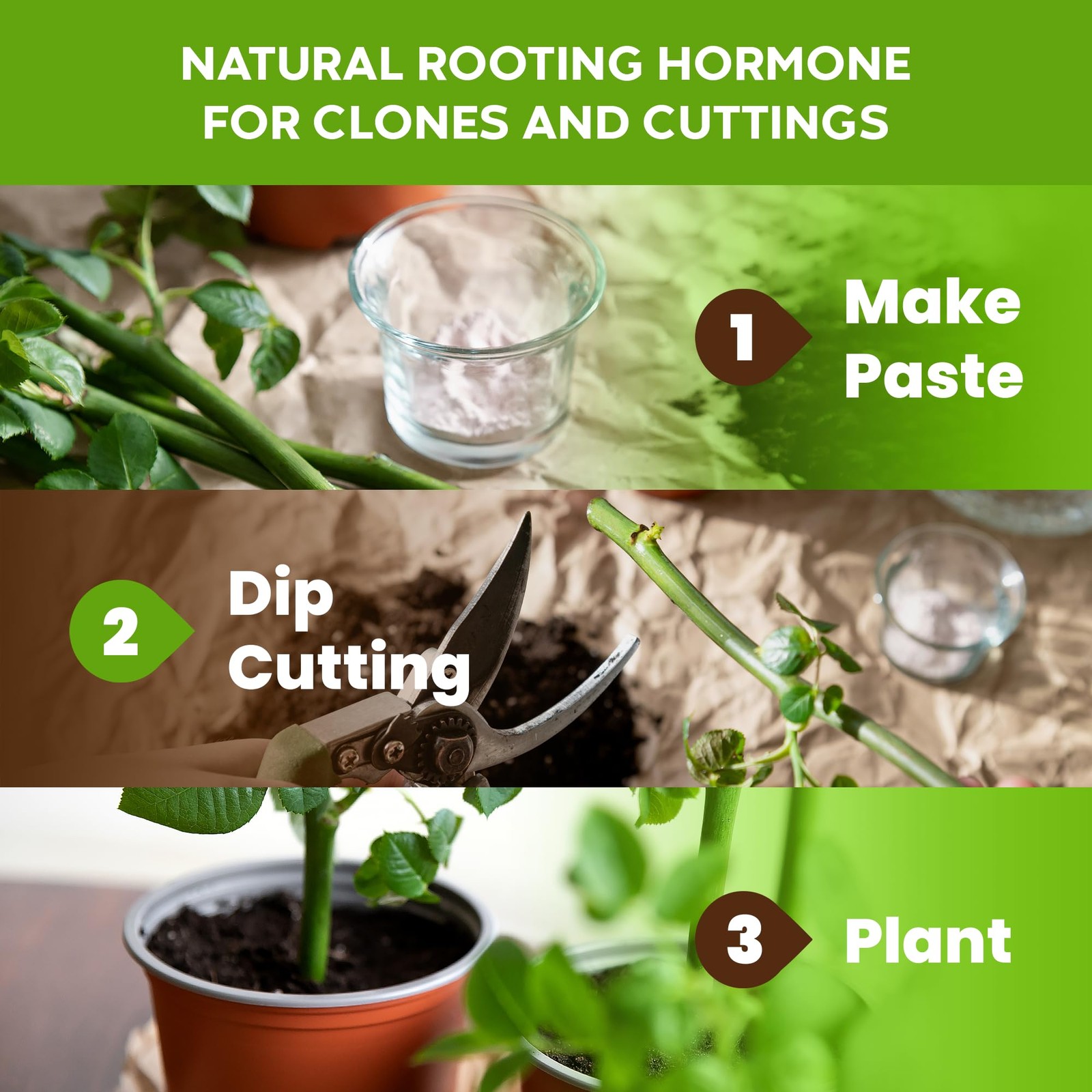 Probiotic Root Boost Water Soluble Powder for Established Plants and Transpla…