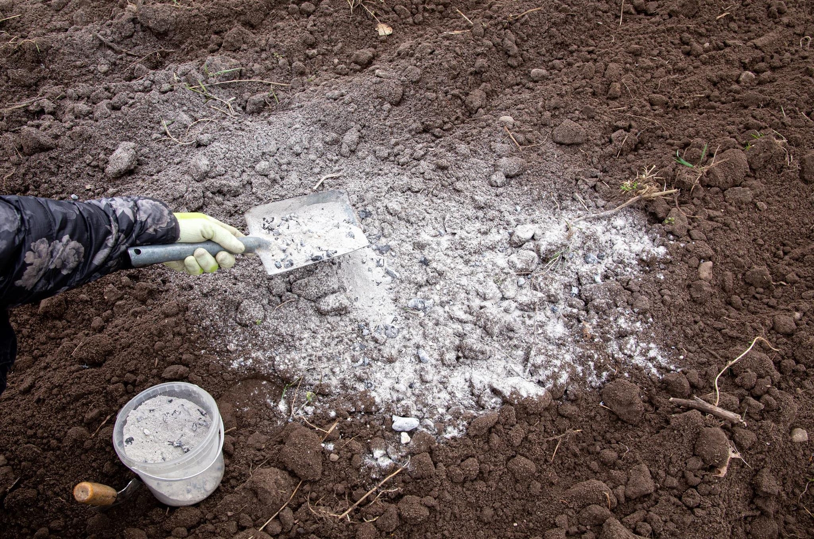 Wood Ash – 2 Pounds Unwashed Wood Ash – Garden Use or Chicken Bath
