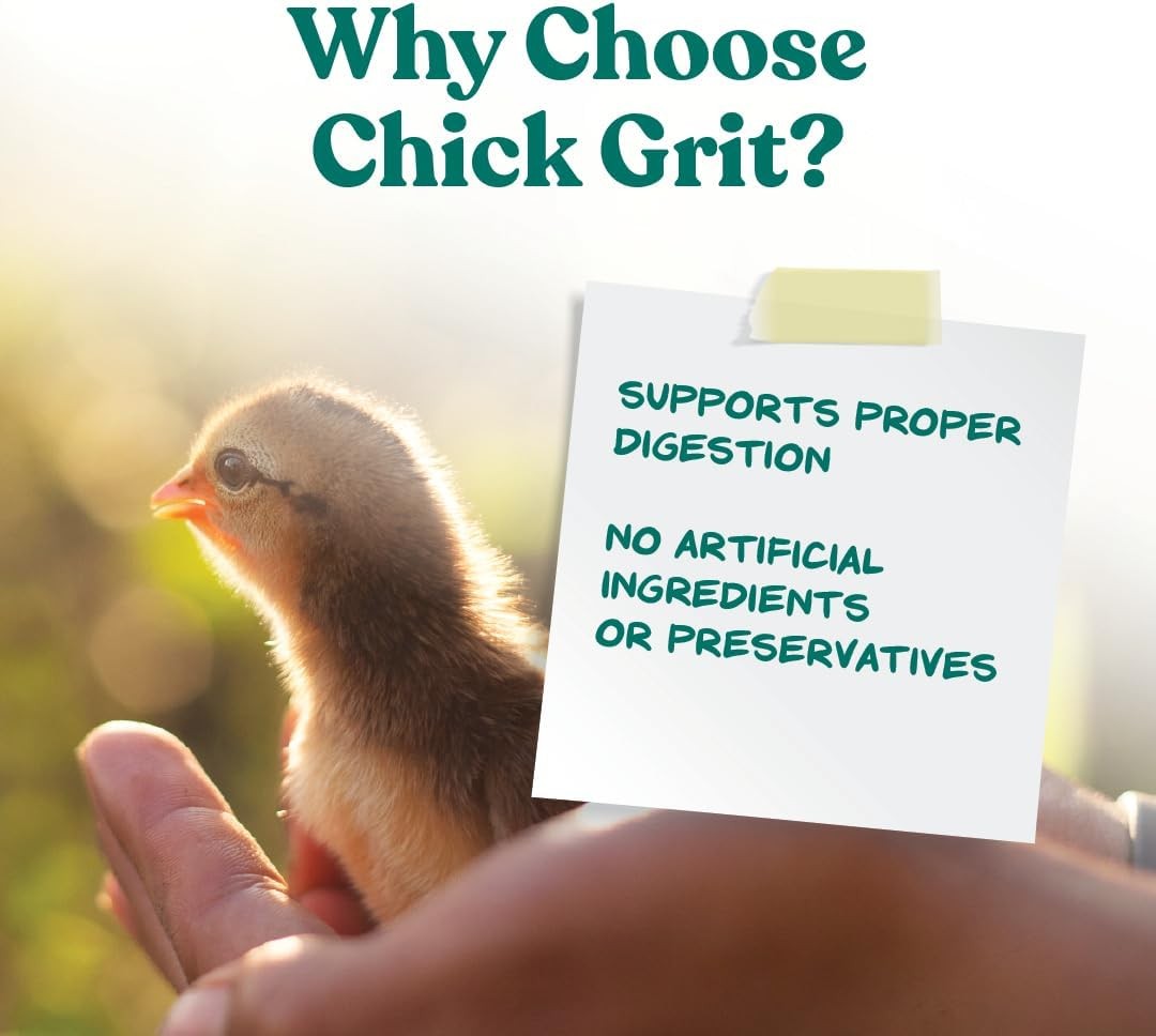 Manna Pro Chick Grit Digestive Supplement for Young Growing Poultry & Bantam