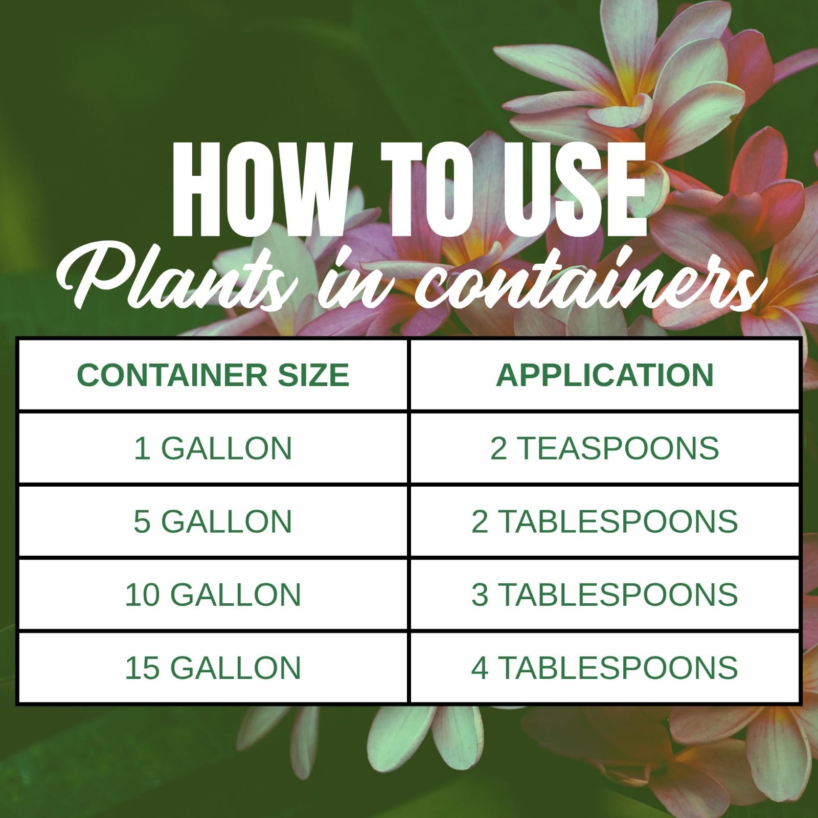 Plumeria Plant & Flowering Tropical Fertilizer 5-30-5 for Ferns, Orchids, Lilies