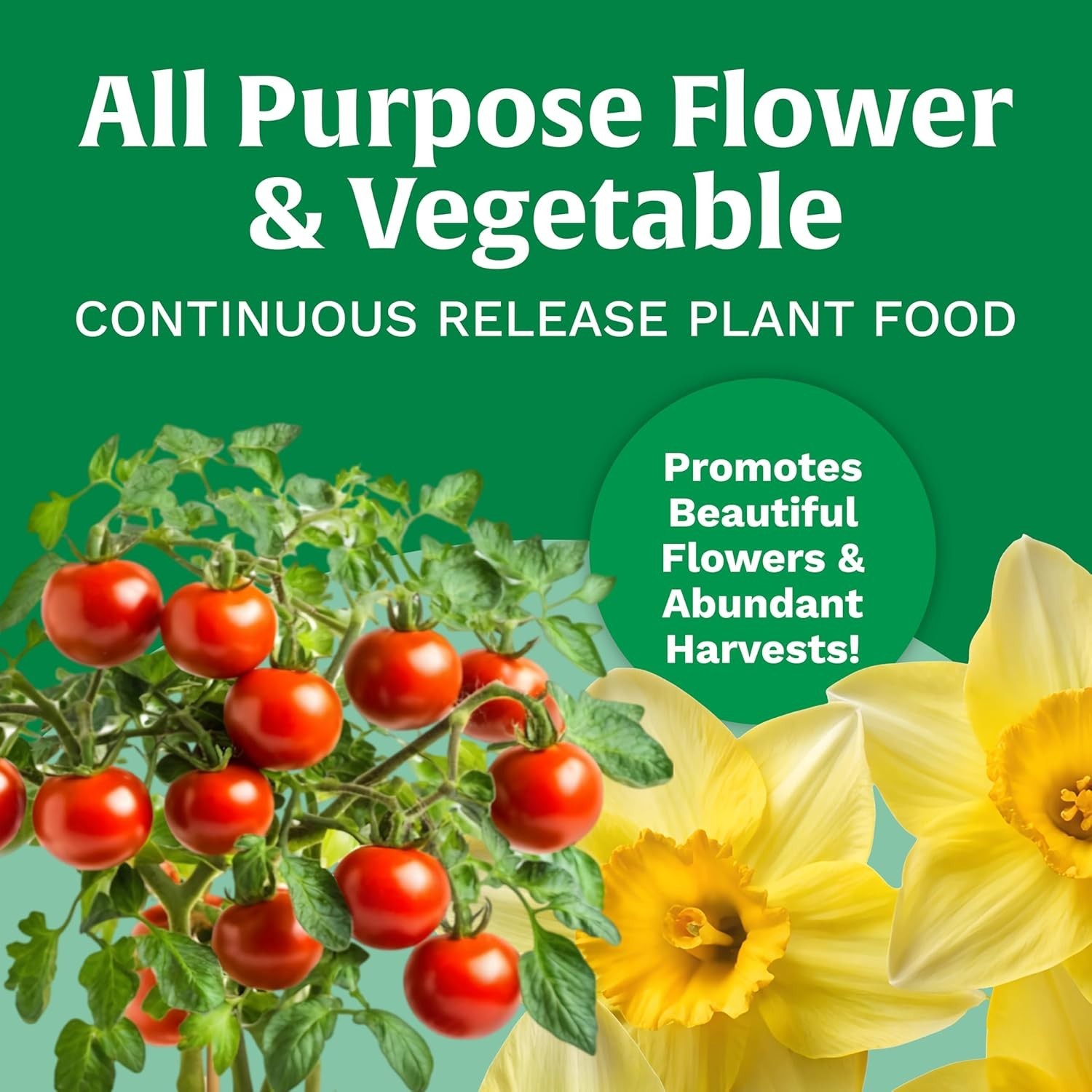 3 lb All Purpose Continuous Release Plant Food for Lush Flowers & Vegetables