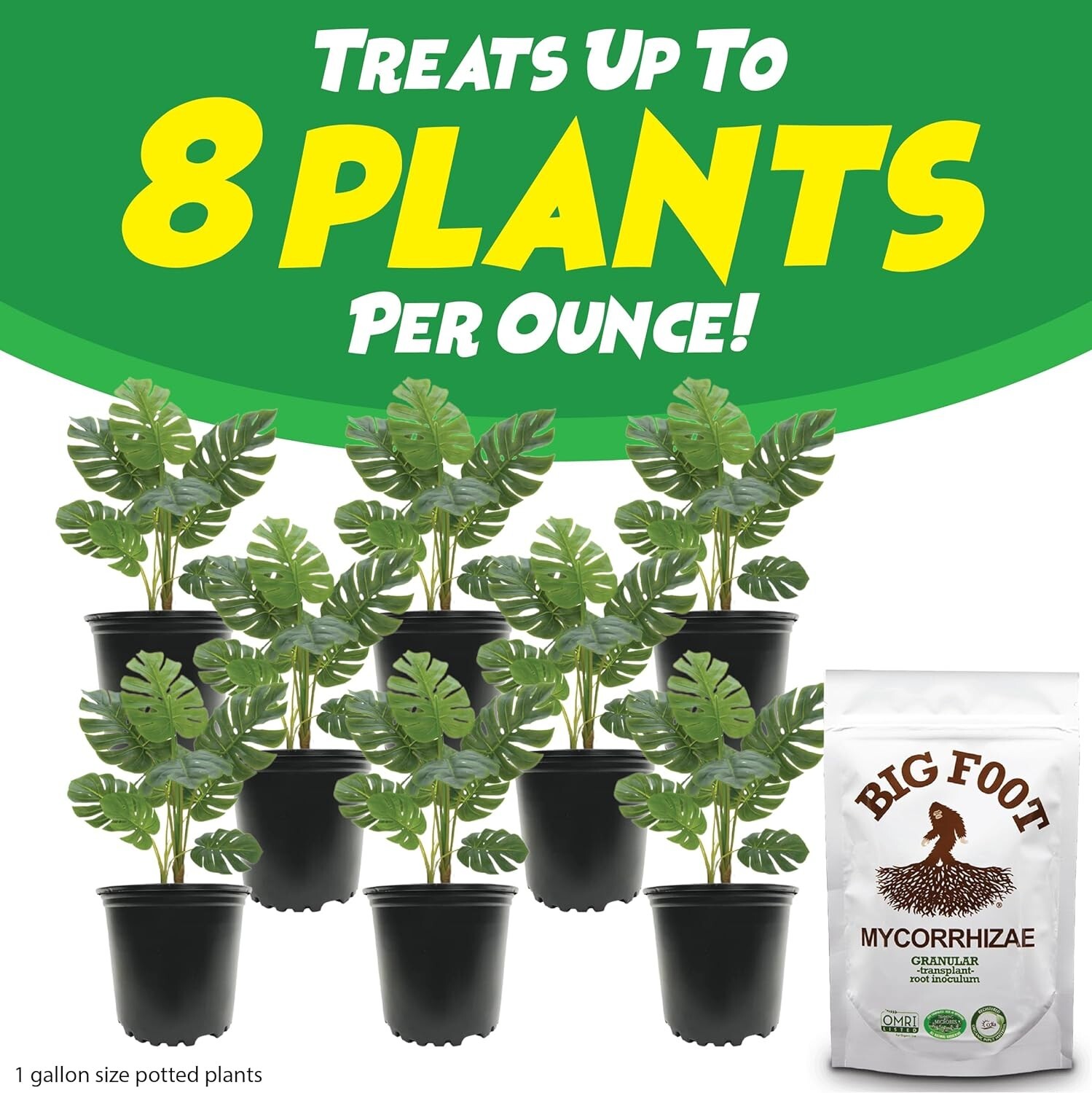 Mycorrhizae – Double Your Plant Size – Easy to Use – – Treats 30 Plants 7,50…