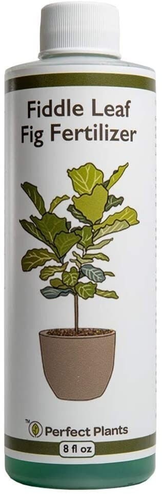 Liquid Fiddle Leaf Fig Fertilizer 2 Pack Concentrated Plant Food Leaf Booster