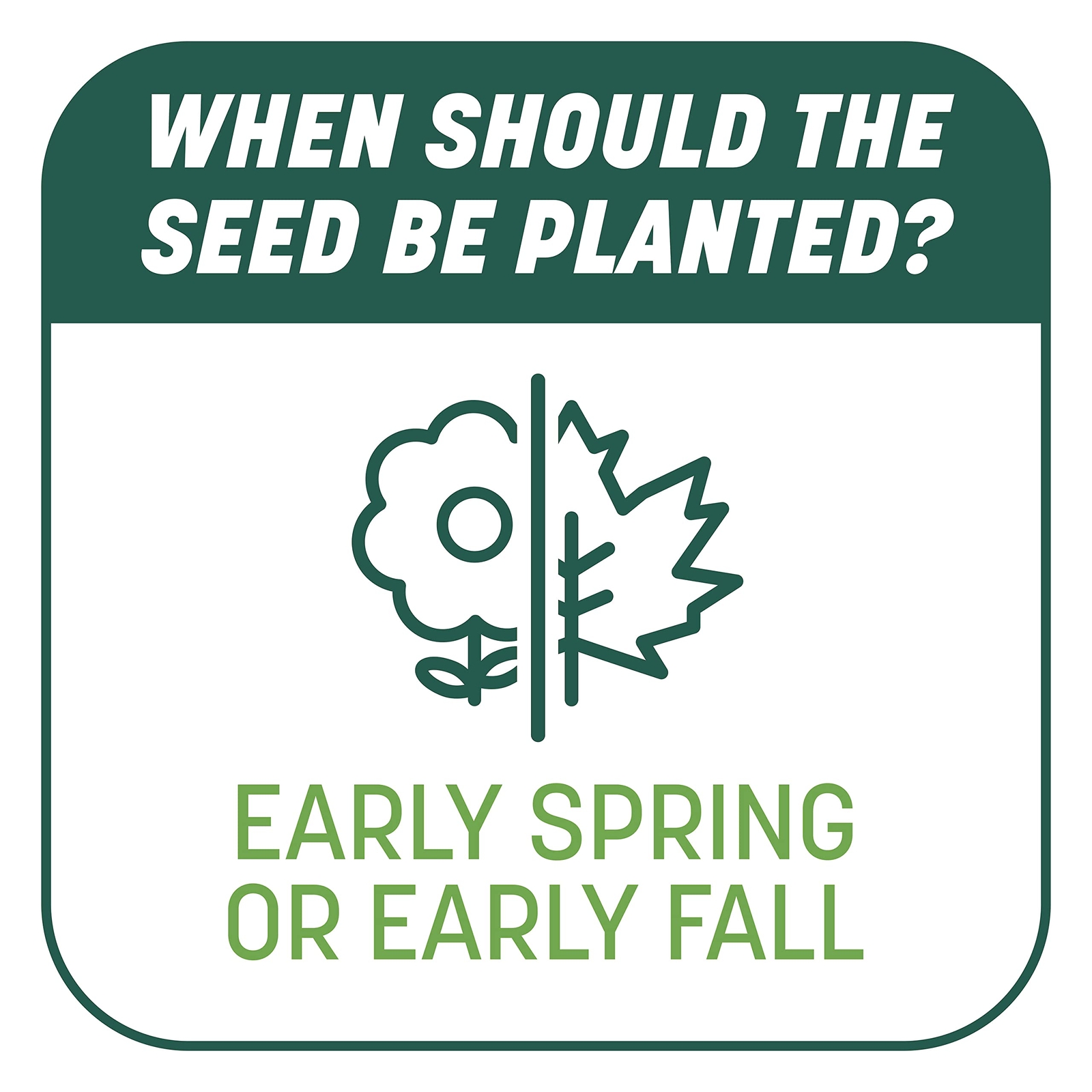 10 lb Smart Seed Fertilizer and Mulch for Repairing Bare Lawn Spots